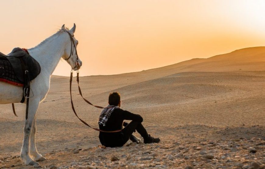 El Gouna: Horse Riding Private 2 Hours With Guide