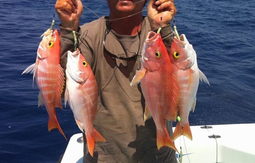 Hurghada: Fishing Trip From Sunset Till Sunrise With Dinner