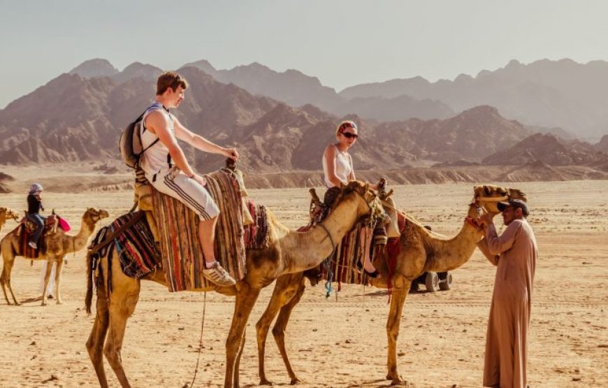 El Gouna: 3-Hour Desert Safari Quad Bike And Camel Ride