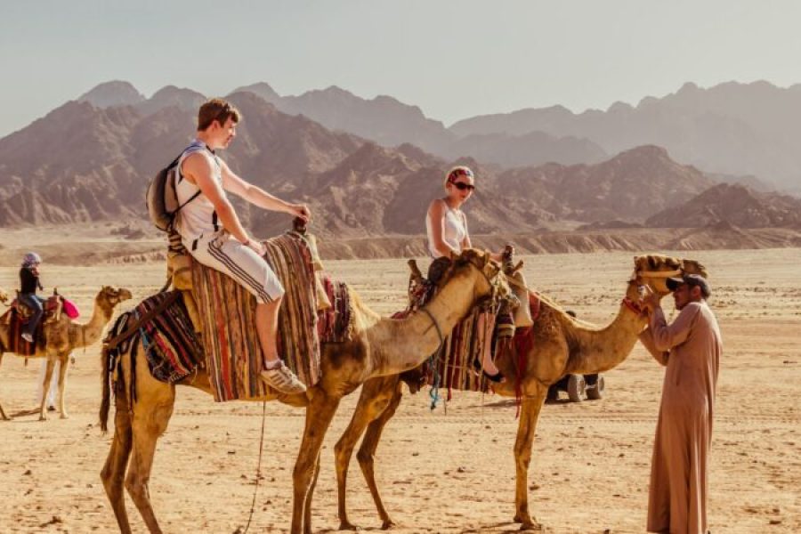 Soma Bay: Buggy Safari With Bedouin Village And BBQ Dinner