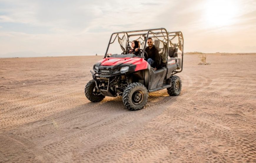 Soma Bay: Buggy Safari With Bedouin Village And BBQ Dinner