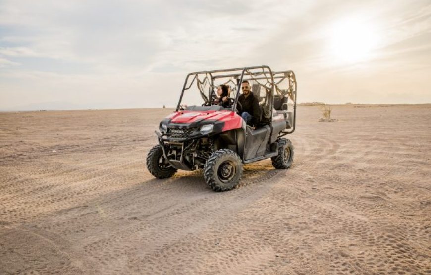 Makadi Bay: Buggy Safari With Bedouin Village And BBQ Dinner