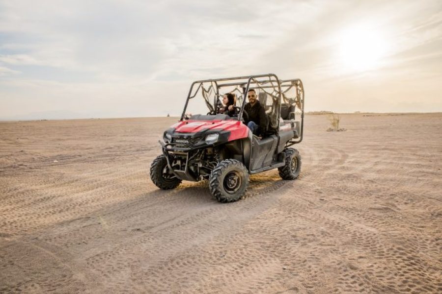 Makadi Bay: Buggy Safari With Bedouin Village And BBQ Dinner