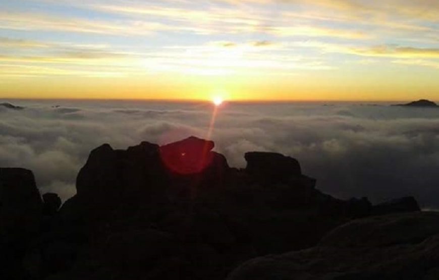 From Cairo: Mount Sinai And Catherine Monastery Day Trip