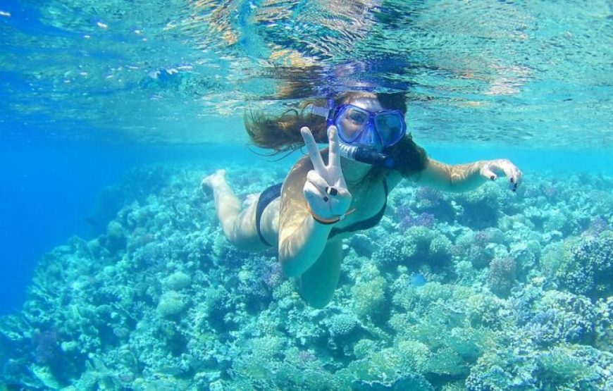 Soma Bay: Giftun Island Tour With Lunch & Drinks