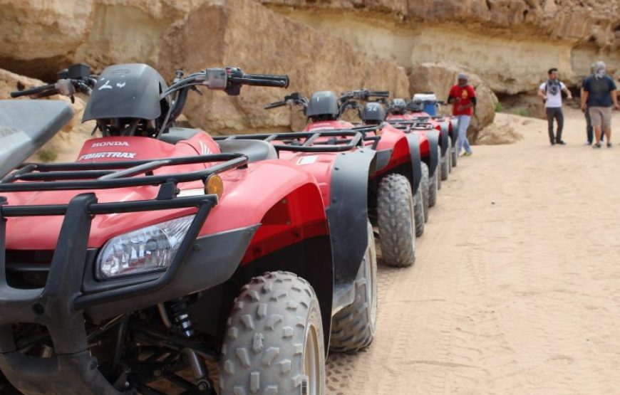 El Gouna: 3-Hour Desert Safari Quad Bike And Camel Ride