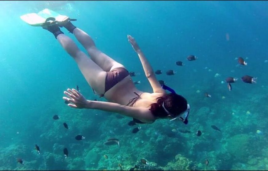Hurghada: Half-Day Sailing Cruise With Snorkeling & Transfers