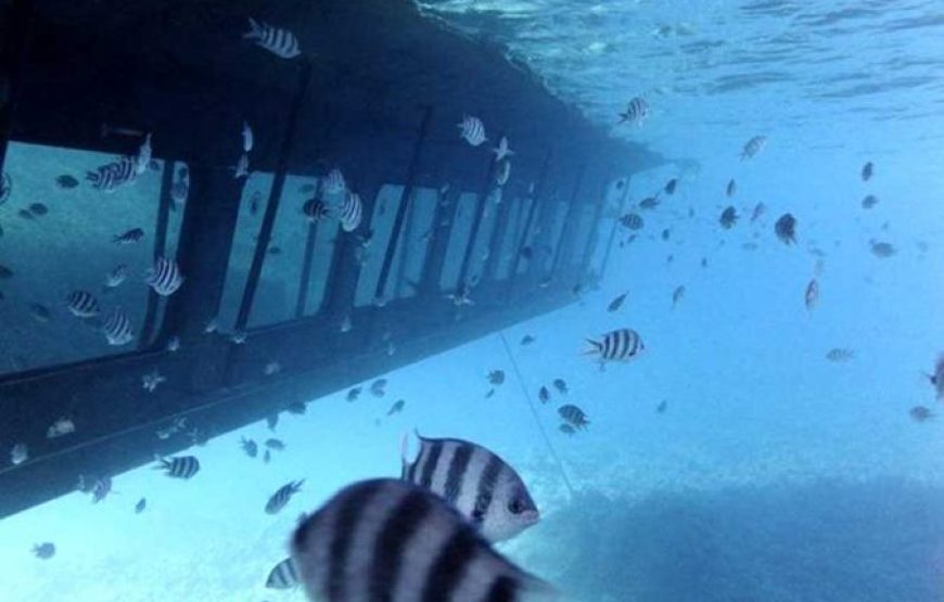 Hurghada: Sea Scope Submarine Trip With Drinks And Snorkeling