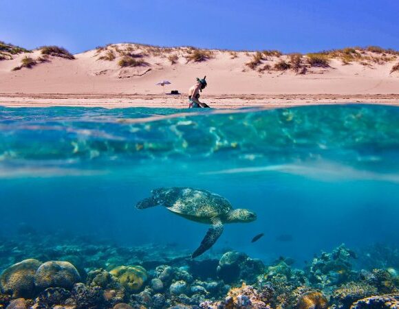 Sharm El Sheikh: Sunrise Quad Biking And Snorkeling Trip
