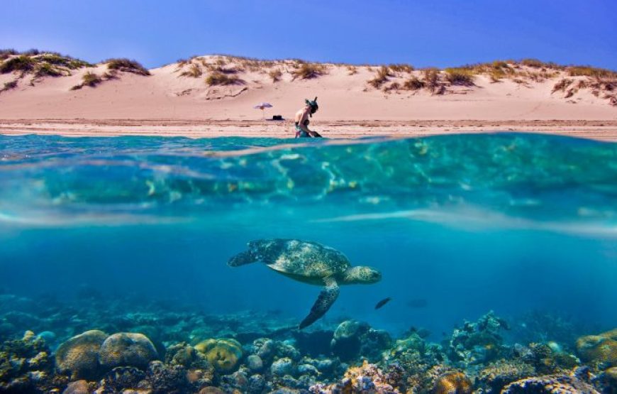 Sharm El Sheikh: Sunrise Quad Biking And Snorkeling Trip