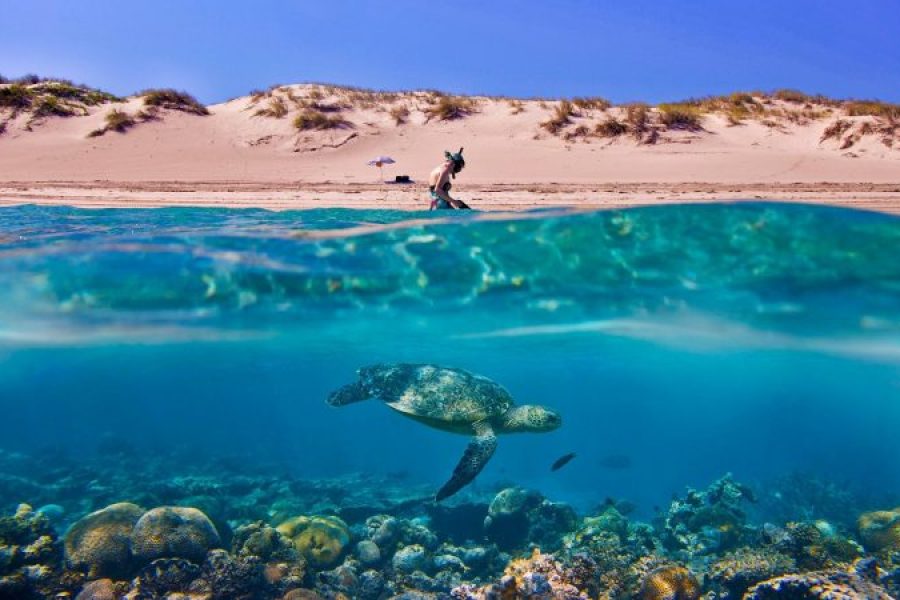 Sharm El Sheikh: Sunrise Quad Biking And Snorkeling Trip