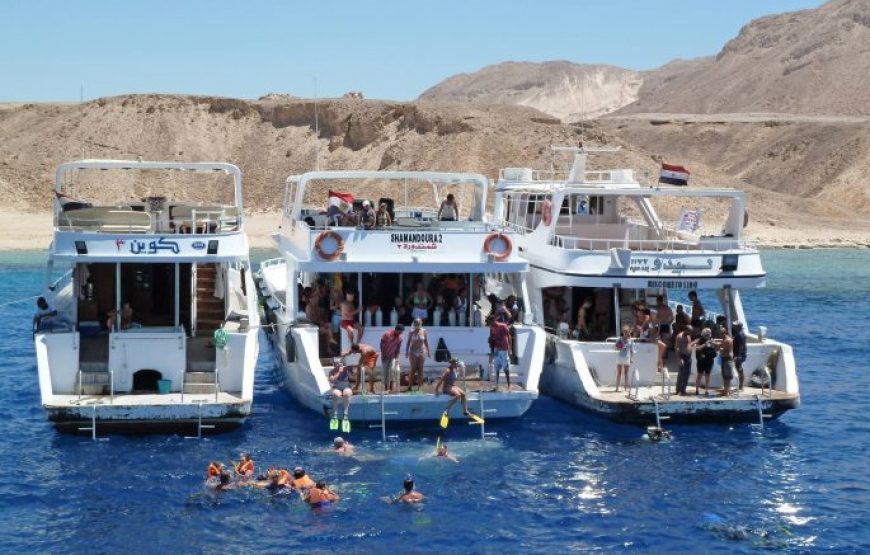 Sharm El Sheikh: Tiran Island – Full Day Boat Tour