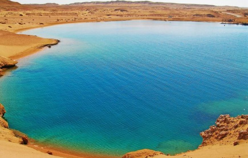 Sharm El Sheikh: Ras Mohammed National Park half day tour by bus.