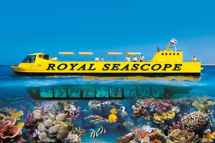 Hurghada: For Family’s With Children 3 Tours Package – Royal Sea Scope, Grand Aquarium And Orange Bay Island