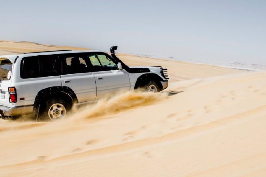 Cairo: Wadi El Hitan Desert Safari, Camel Ride & BBQ