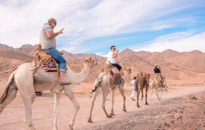 Makadi Bay: Galaxies & Grills: Jeep Stargazing Safari with Dinner
