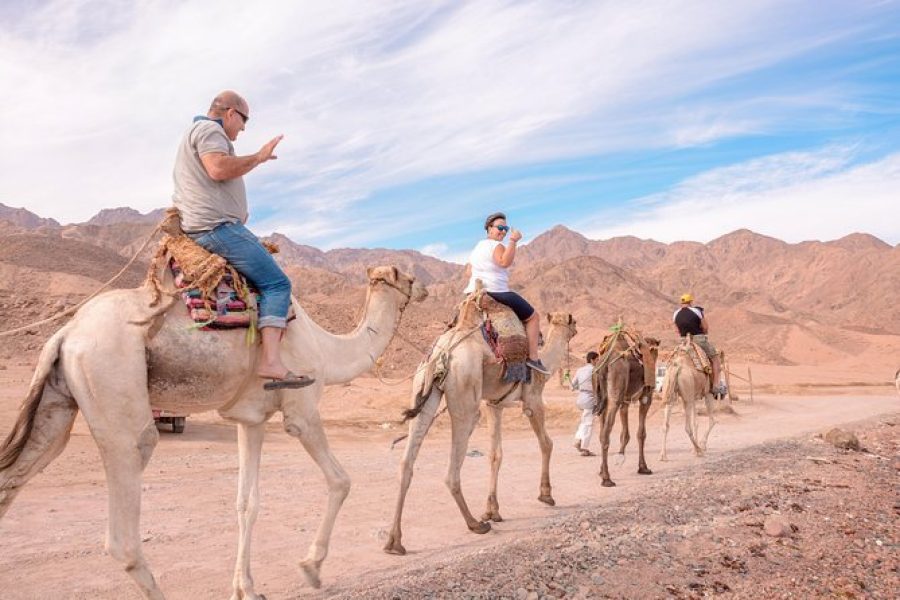 Hurghada: Star Watching Desert Adventure Trip By Jeep With Dinner