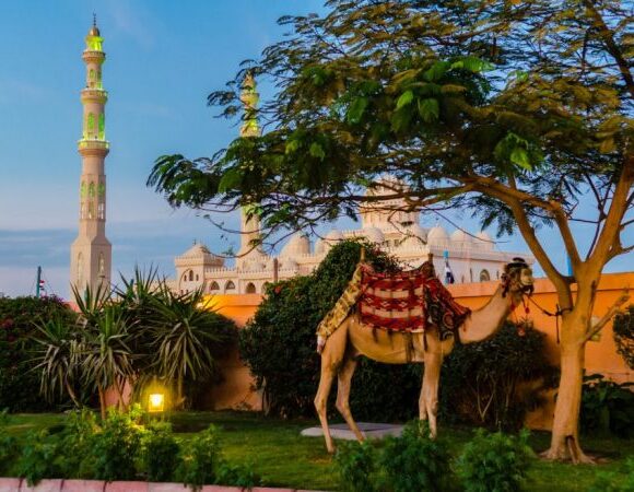 Hurghada: Parasailing Experience And City Tour With Shopping