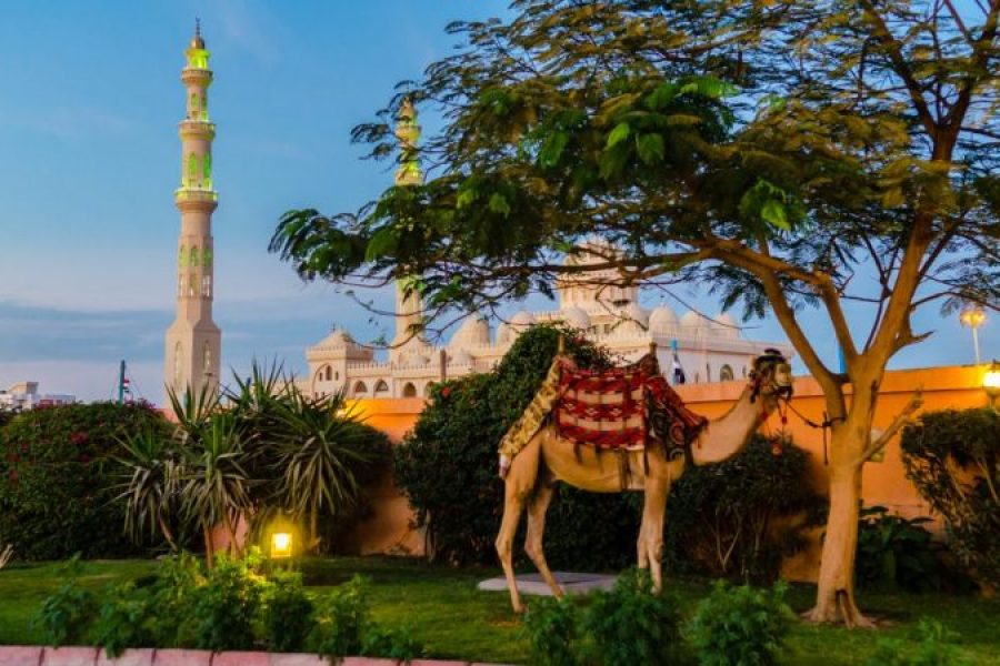 Hurghada: Parasailing Experience And City Tour With Shopping