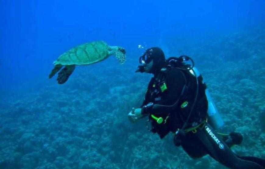 Dahab: Quad Biking, Snorkeling, Diving & Camel Riding