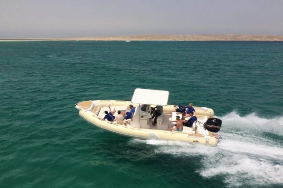 Hurghada: Fishing Trip From Sunset Till Sunrise With Dinner