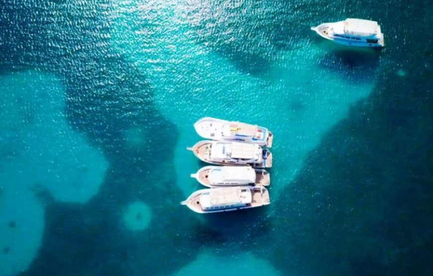 Sharm El Sheikh: Parasailing Adventure