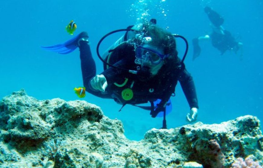 Sharm El Sheikh: Offshore Scuba Diving