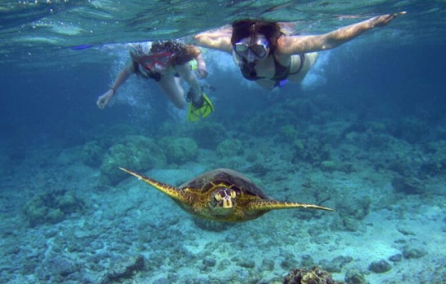 Soma Bay: Giftun Island Tour With Lunch & Drinks