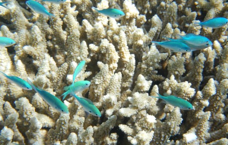 Dahab: Blue Hole