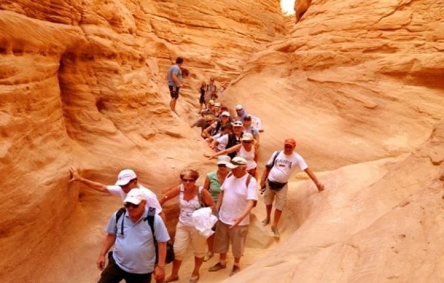 Dahab: Quad Biking, Snorkeling, Diving & Camel Riding