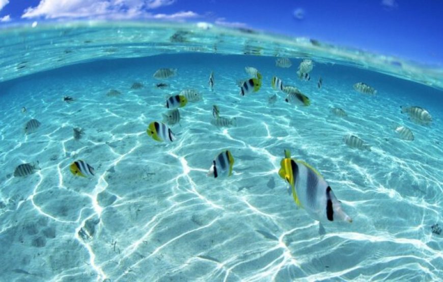 Hurghada: Magawish Reefs And Giftun Island Snorkeling Trip With Lunch