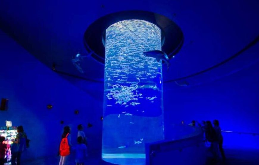 Hurghada: Grand Aquarium Entry Tickets And Transfer