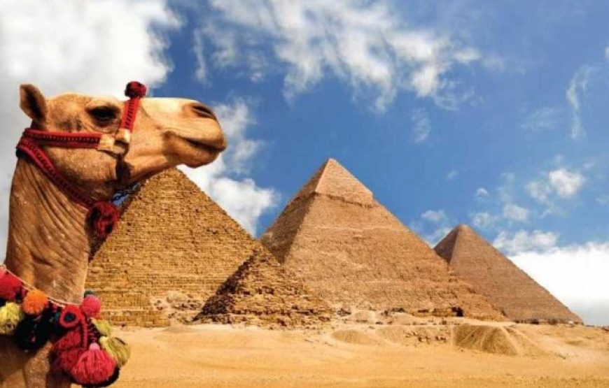 Пирамиды Гизы: Полдня на Верблюде или Карете