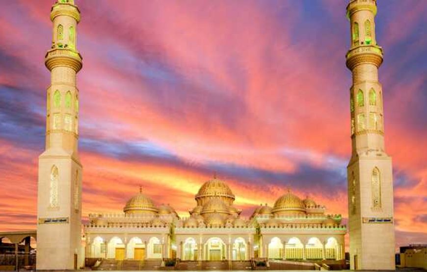From El Gouna: Private City Tour In Hurghada