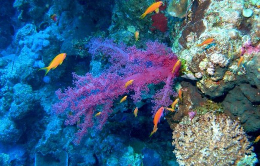 Dahab: Blue Hole