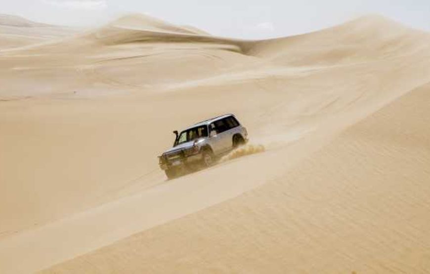 Cairo: Wadi El Hitan (Whale Valley) Desert Safari, Camel Ride & BBQ