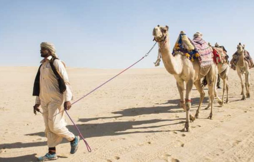 Cairo: Wadi El Hitan (Whale Valley) Desert Safari, Camel Ride & BBQ