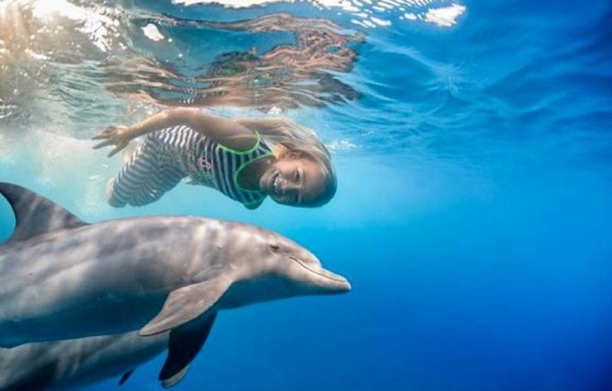 Hurghada: Giftun Island Snorkeling Luxury Boat Tour With Lunch And Drinks