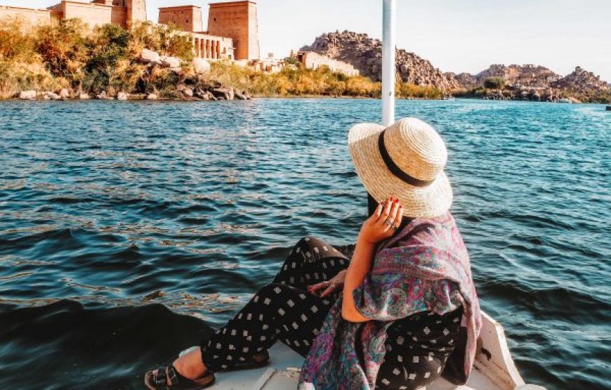 El Gouna: Escursione di un giorno a Luxor e alla Valle dei Re
