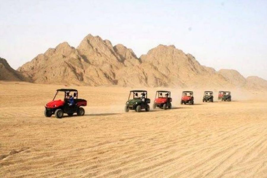 Marsa Alam: Three Hours Morning Or Sunset Quad Bike Safari With Camel Ride