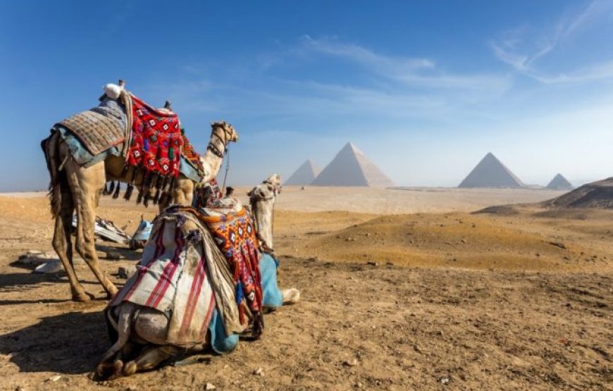 El Gouna: El Gouna: Day Trip to Cairo by Plane