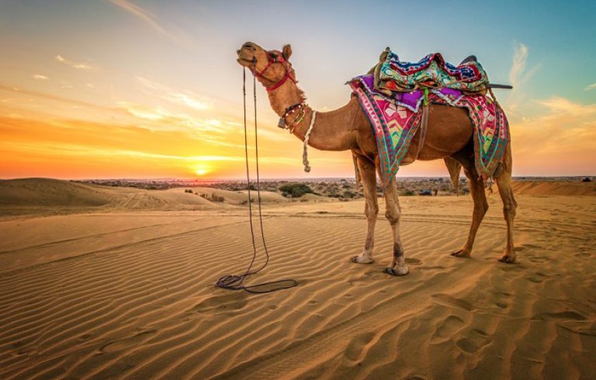 Sharm El Sheikh: Private Quad Safari