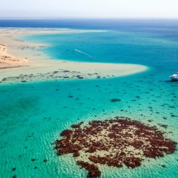 El-Gouna-Giftun-Island-Tour-768x470