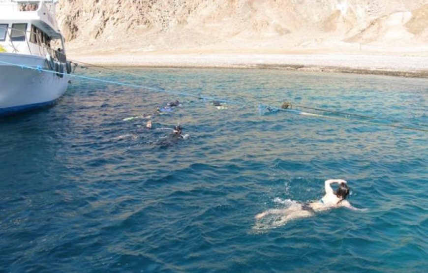 Dahab: Half Or Full Day Boat Trip