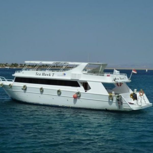 Full-Day-Boat-Trip-in-Dahab-7-10113-611x450