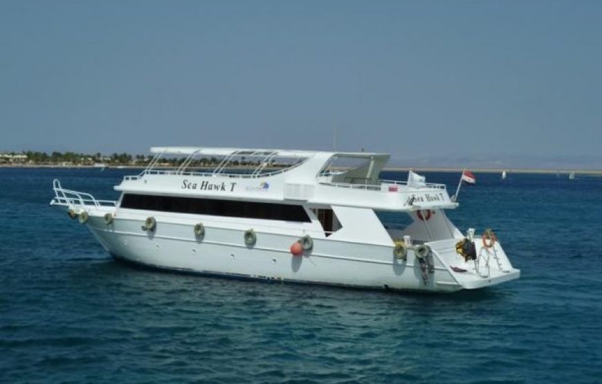 Marsa Alam: Snorkeling And Diving Boat Trip At Coral Garden Reefs