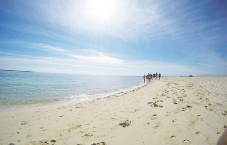Soma Bay: Giftun Island Tour With Lunch & Drinks