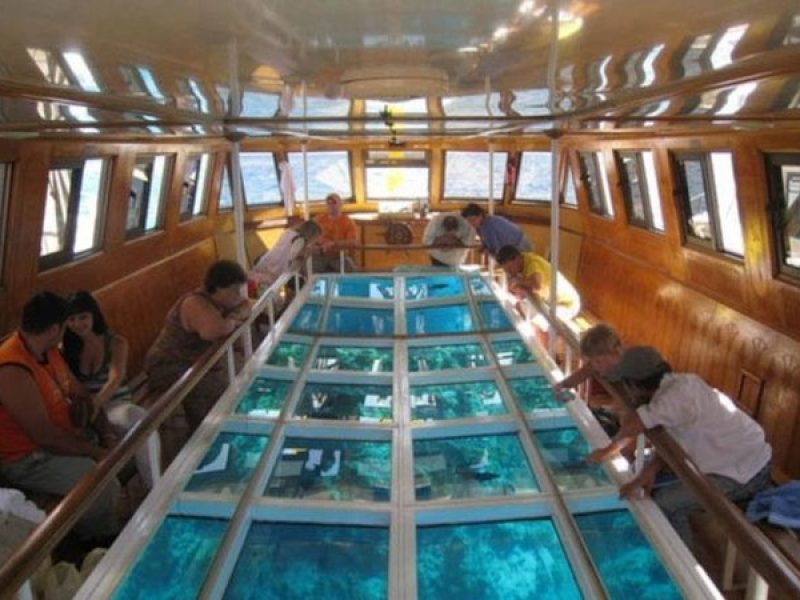 Dahab: Gita in barca con fondo di vetro