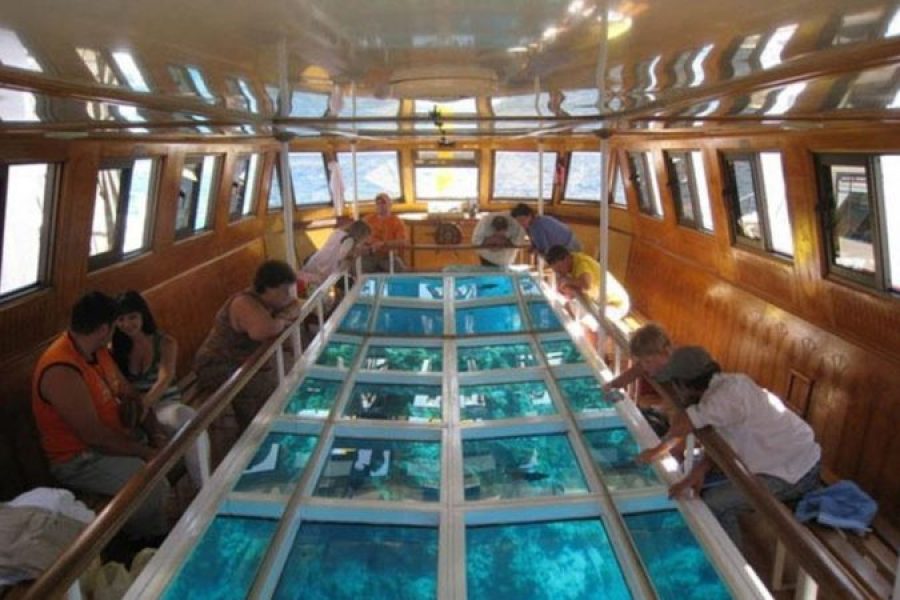 Dahab: Glass Bottom Boat Trip