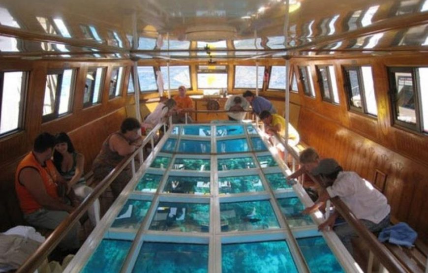 Sharm El Sheikh: Glass Bottom Boat Trip